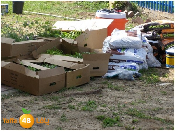 jamhierey lud0403 (22).jpg